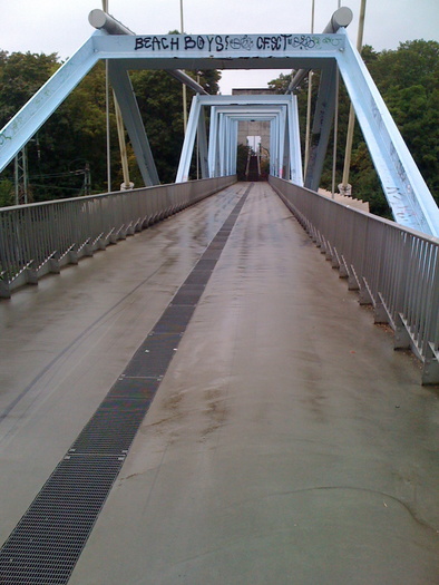 IMG_0165 - Sich selbst verjüngende Brücke